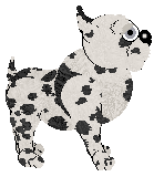 Poppyhill's Ionian Sea at Perfume — “Ithaca”