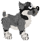 Poppyhill's La Corsa dei Ceri at Perfume — “Ubaldo”