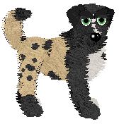 Cirrutopia's Even More Magical — “Thirty-Three”