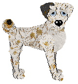 Ferality's Good Soup at APK — “Miso”