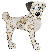 Ferality's Good Soup at APK — “Miso”