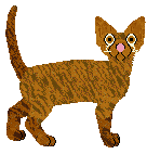 Mockingbird's Salt In My Veins — “Salt”