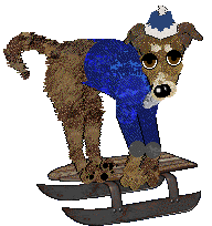 Dh's Desert Memories — “Hawk”