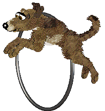 Dh's Desert Memories — “Hawk”