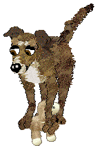 Dh's Desert Memories — “Hawk”