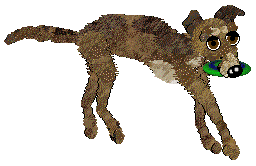 Dh's Desert Memories — “Hawk”