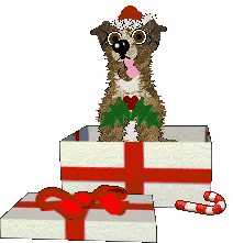 Dh's Desert Memories — “Hawk”