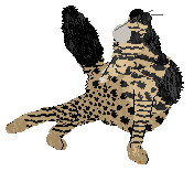 EC/Dh's Buoyant Aristocat — “Zeppelin”