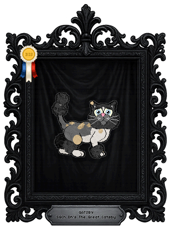 Profile image of Dh's The Great Catsby