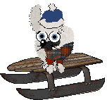 Sungraze/Dh's Wee Highland Prince — “Macleod”