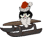 Calluna/EC's Black Moiré at The Doghouse — “Velvet”