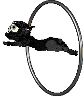 Calluna/EC's Black Moiré at The Doghouse — “Velvet”