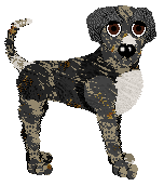 Wild Road's Nuoro — “Orune”