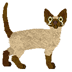 Profile image of Mockingbird's Pines Full of Echoes