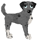 Profile image of Wild Road's Gotlands län