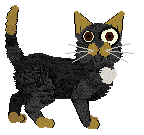 Watervale's Wild River at Wild Road — “Brazos”