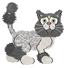 Perfume's Paradox of Choice at Wild Road — “Paradox”