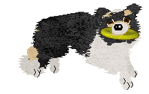 Crystal Rose's Fond Memories at Come Bye — “June”