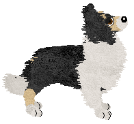 Crystal Rose's Fond Memories at Come Bye — “June”