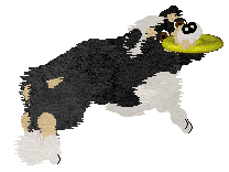 Crystal Rose's Fond Memories at Come Bye — “June”