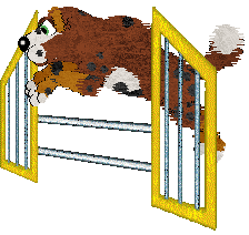 Profile image of Cirrutopia's Sweet Sensation