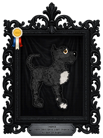 Profile image of 360/Dh's Last Chance to Get It Right