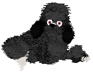 Cirrutopia/Dh's Black Tie Affair — “Prada”