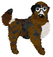 Sungraze's Bona Fide at Cirrutopia — “Philly”