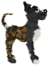 PA/Dh's Believe It or Not — “Ripley”