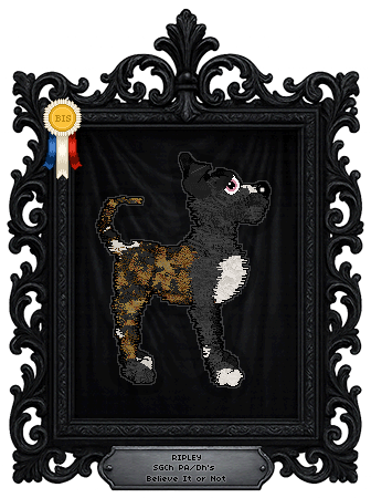 Profile image of PA/Dh's Believe It or Not