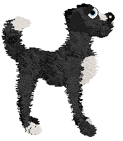 Cirrutopia’s Mirage in the Walls — “Mirage”