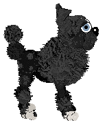 HK/Dh's Dandy Ruffian — “Fester”