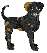 Tangled's Dark Revival at Vanilla — “Revi”