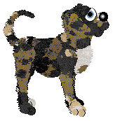 Perfume/FDL's Guinea Corn Crop — “Sorgho”