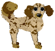 Profile image of Sz's Snapshot in Time