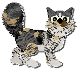 Profile image of Perfume Canals On Mars