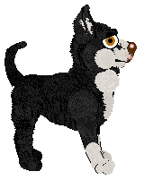 Pachelbel's Echoes of Departure — “Exodus”