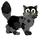 Dh's Civil War — “War”