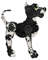 Gizmo/Dh's White Flag — “Truce”