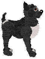 EC's I'm With Cupid — “Comet”