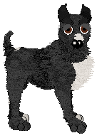 EC's I'm With Cupid — “Comet”