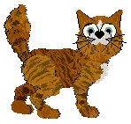 Profile image of EC’s Postcard From Paris at Wild Road