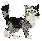 Toto's Waves of the Sea at Wild Road — “Seafra”