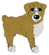 Wild Road's Cherish Life's Simple Pleasures — “Bellamie”