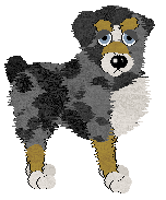 Spellbound's Vasilissa at Wild Road — “Vasilissa”