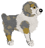 Wild Road's Noble Honesty — “Kareem”