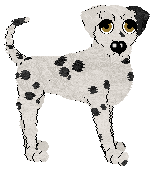 Sz's Invasive Species — “Acacia”