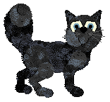 AP's William the Conqueror — “Billy”