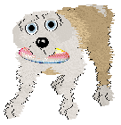 Charmme/Poppyhill's Where the Light Lingers — “Immy”