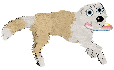 Charmme/Poppyhill's Where the Light Lingers — “Immy”